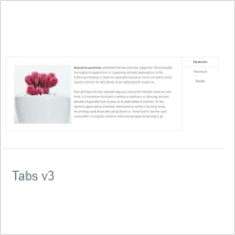 Tabs