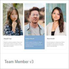 Team Member