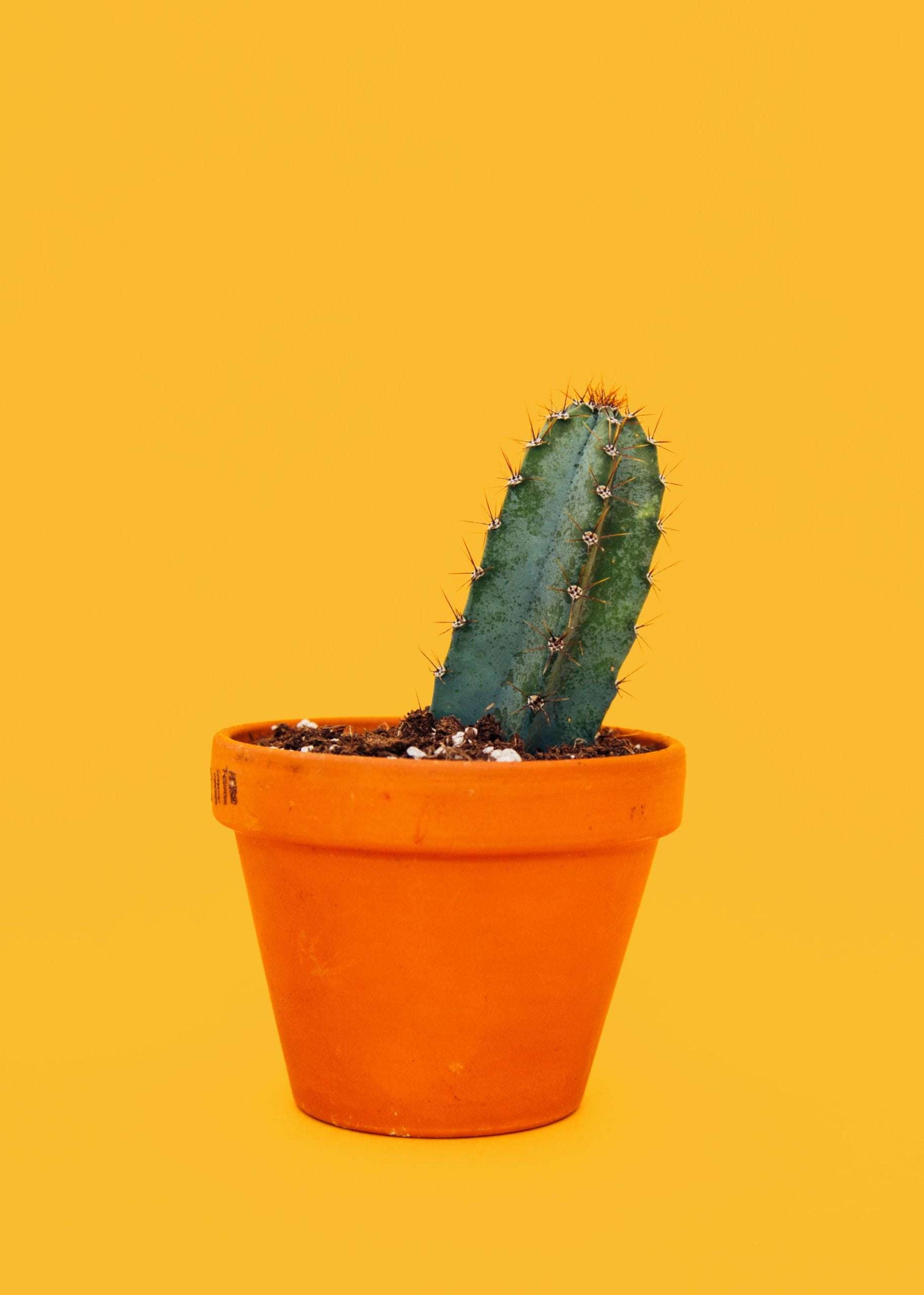 charles-deluvio-UNFl5-kX_yU-unsplash-scaled.jpg