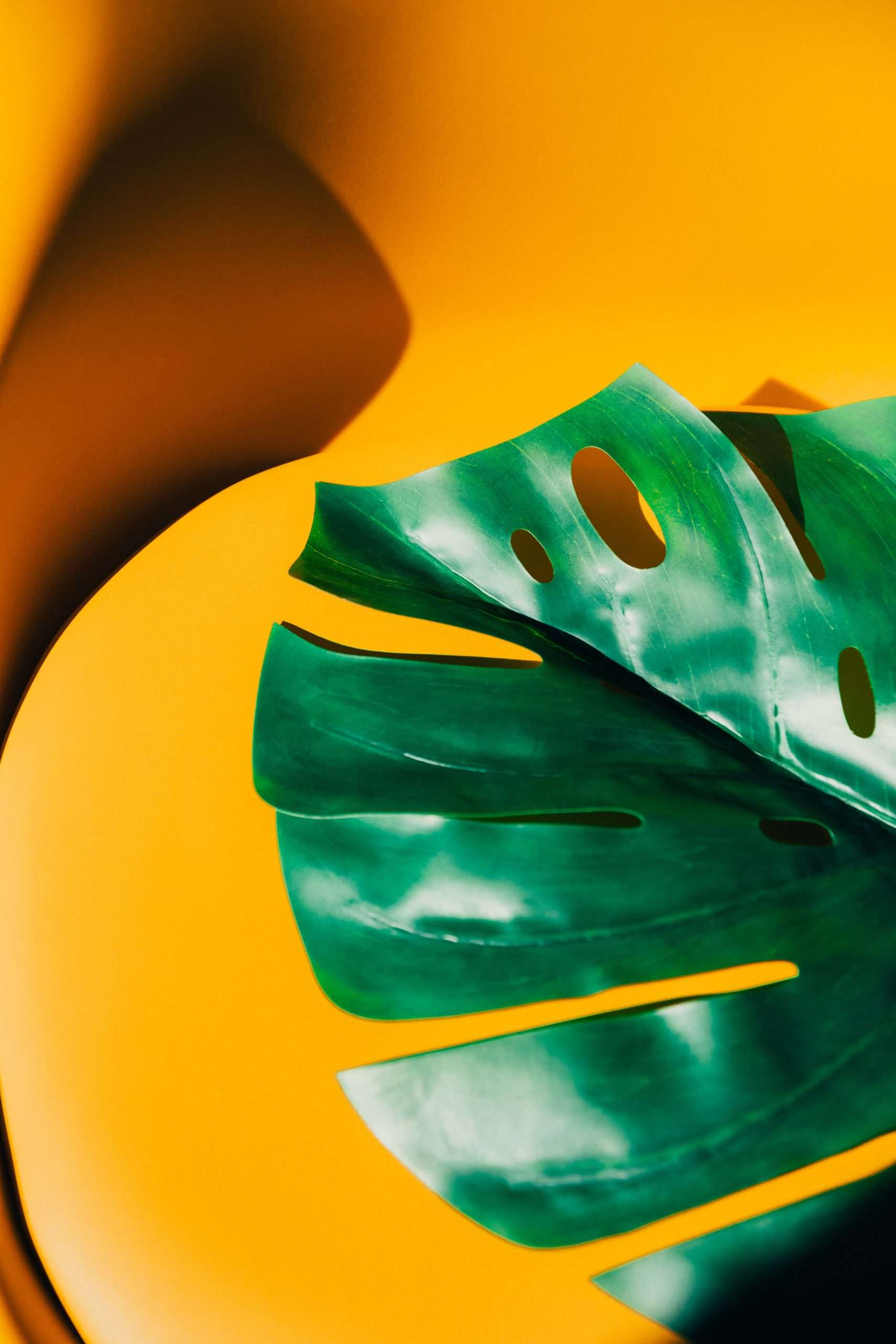 kobu-agency-J1Xhz1AvEzw-unsplash-scaled.jpg