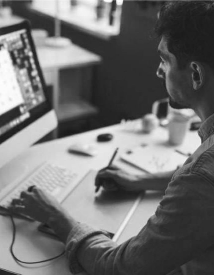 desarrollo web bn