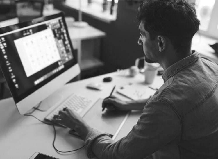 desarrollo web bn