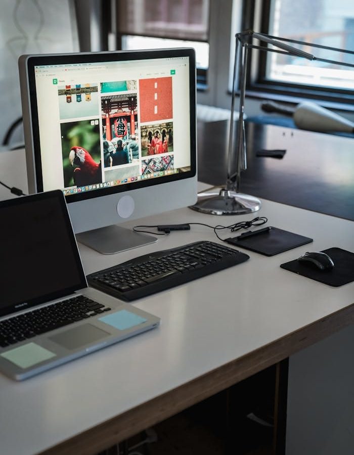 pexels photo 12903116 2