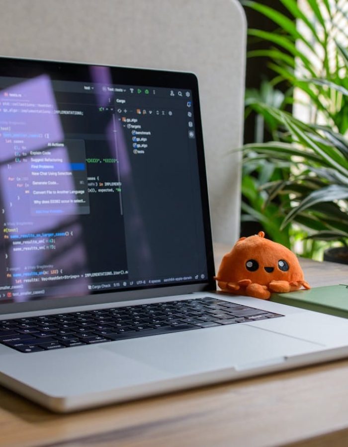 pexels photo 34804012 2