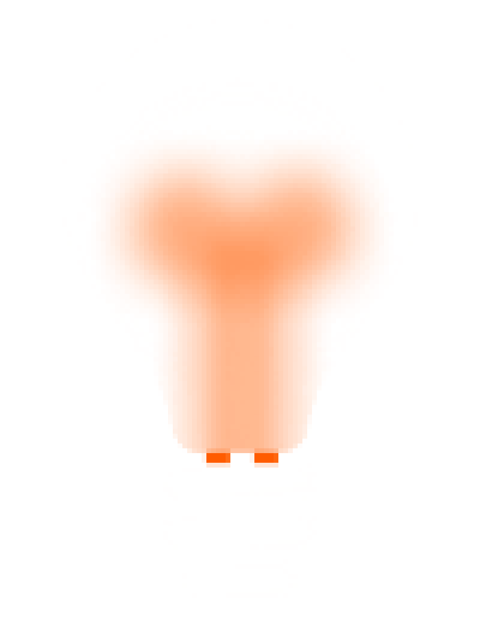 w-developer-icon-1